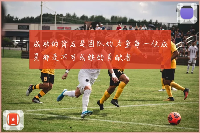 成功的背后是团队的力量每一位成员都是不可或缺的贡献者