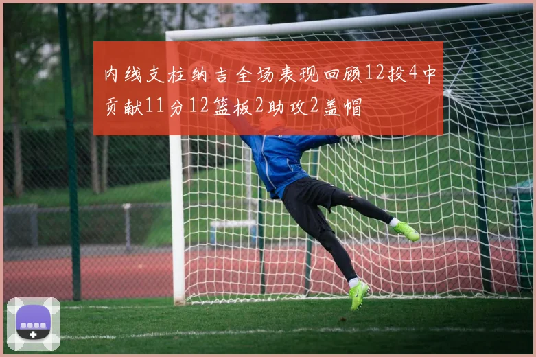 内线支柱纳吉全场表现回顾12投4中贡献11分12篮板2助攻2盖帽
