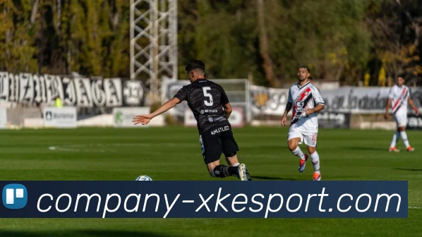 星空电竞平台生态图